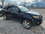 Kia Sorento 2013