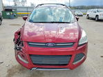 Ford Escape 2013