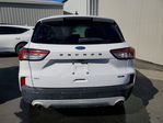 Ford Escape 2020
