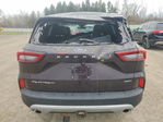 Ford Escape 2023