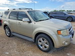 Ford Escape 2010