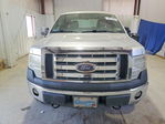 Ford F-150 2010
