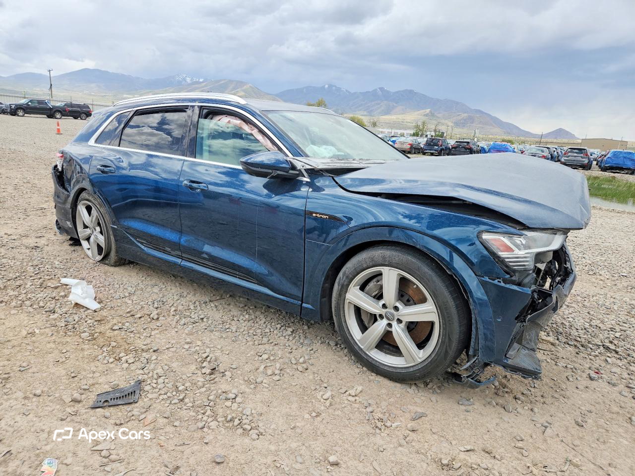 Audi e-tron 2019