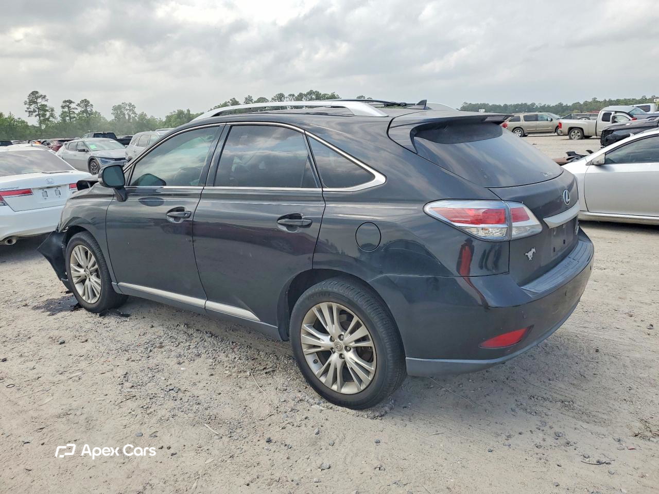 Lexus RX 2013