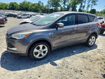 Ford Escape 2014