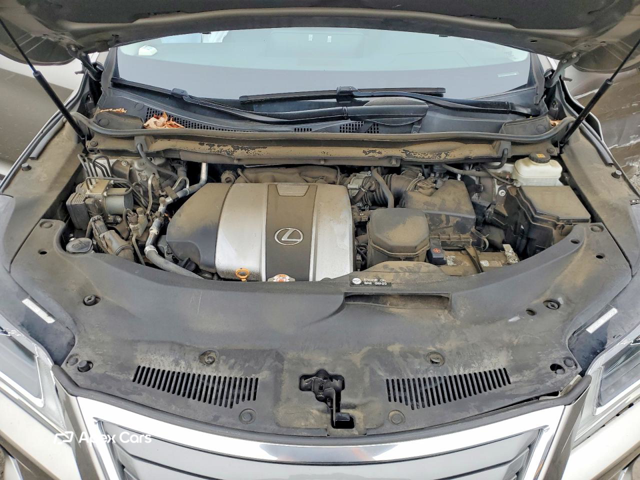 Lexus RX 2019