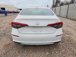 Honda Civic 2024