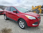Ford Escape 2015