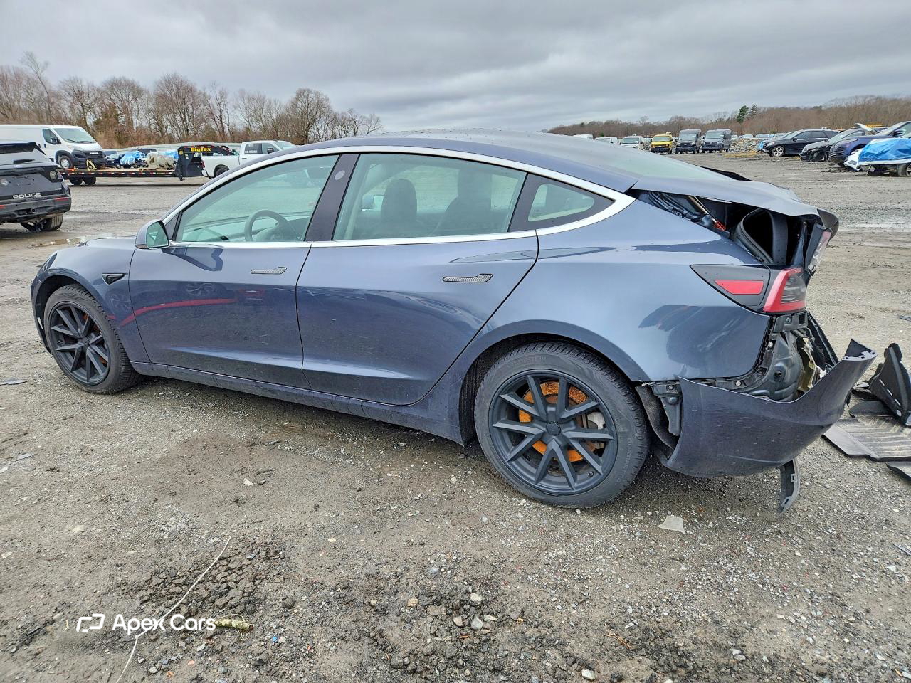 Tesla Model 3 2019