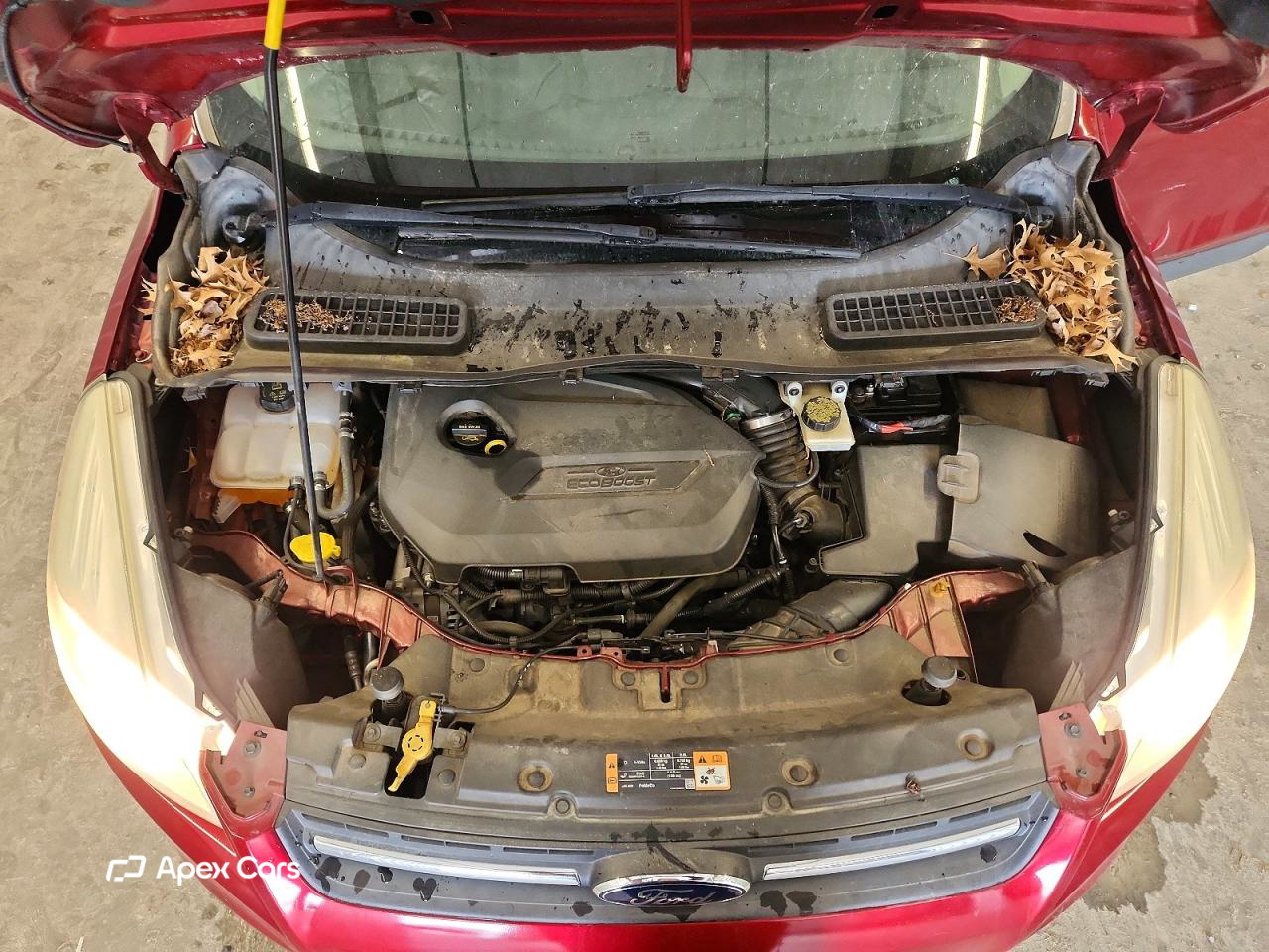 Ford Escape 2014