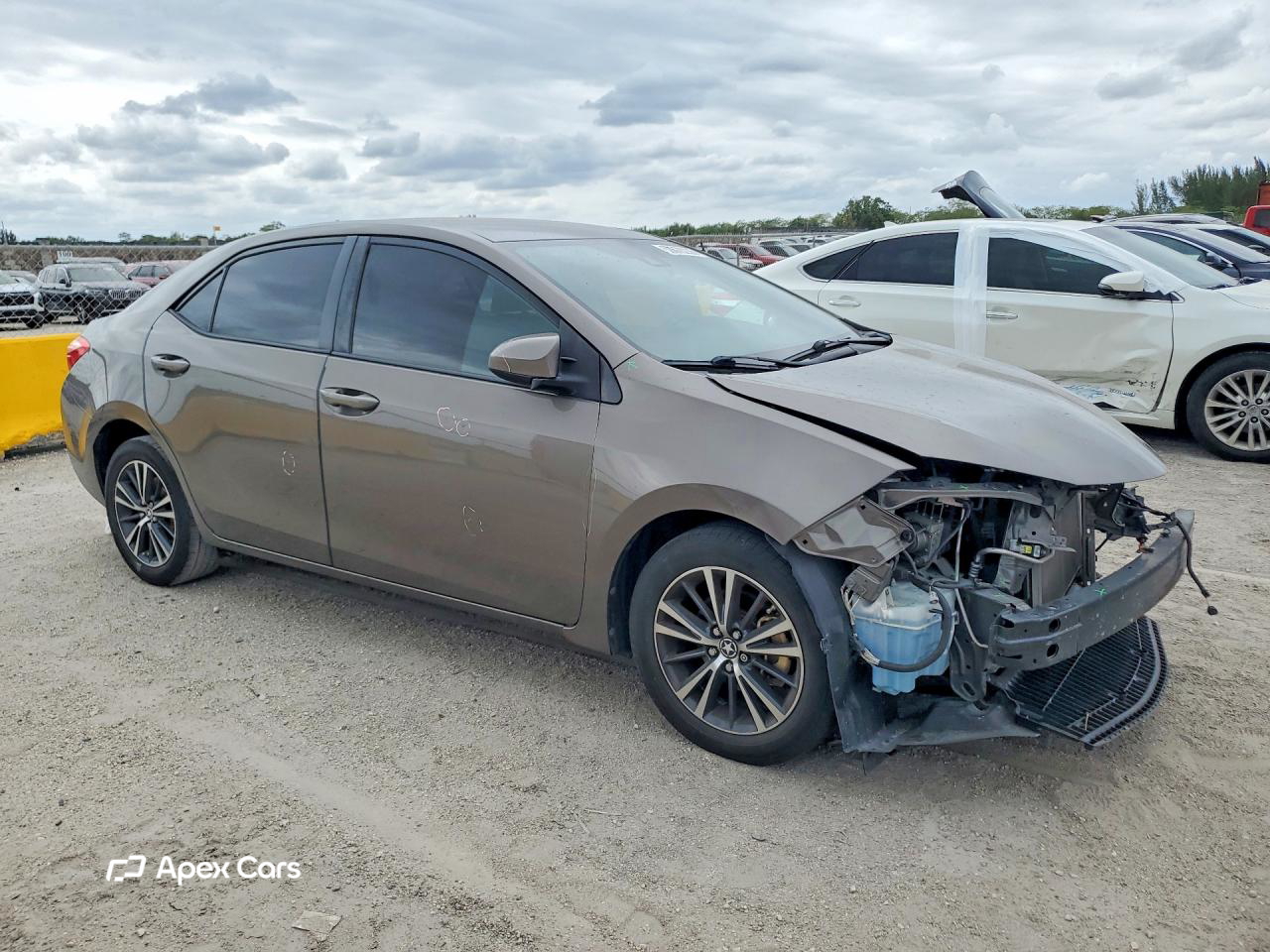 Toyota Corolla 2019