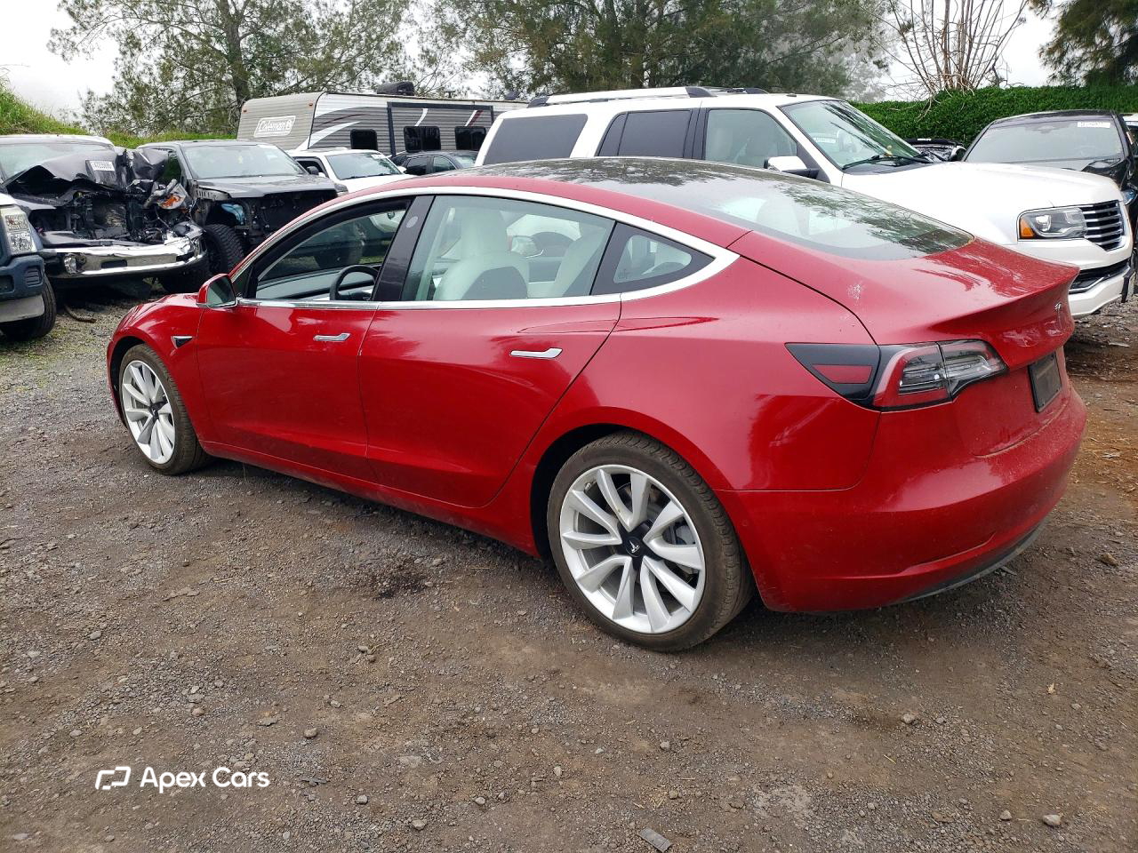 Tesla Model 3 2019