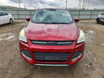 Ford Escape 2014