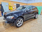 Audi Q5 2010
