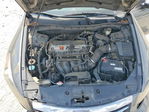 Honda Accord 2011