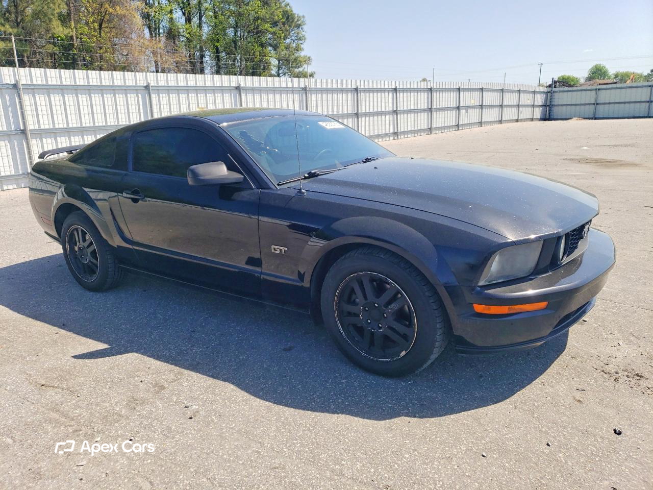 Ford Mustang 2005