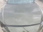 Lexus RX 2025