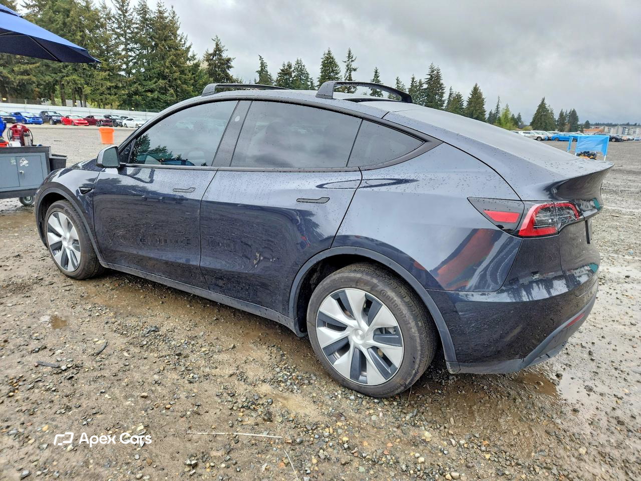 Tesla Model Y 2024