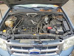 Ford Escape 2010