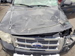 Ford Escape 2011