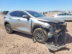 Lexus NX 2022
