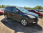 Ford Escape 2013
