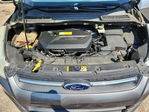 Ford Escape 2013
