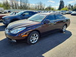Lexus ES 2002