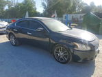 Nissan Maxima 2013