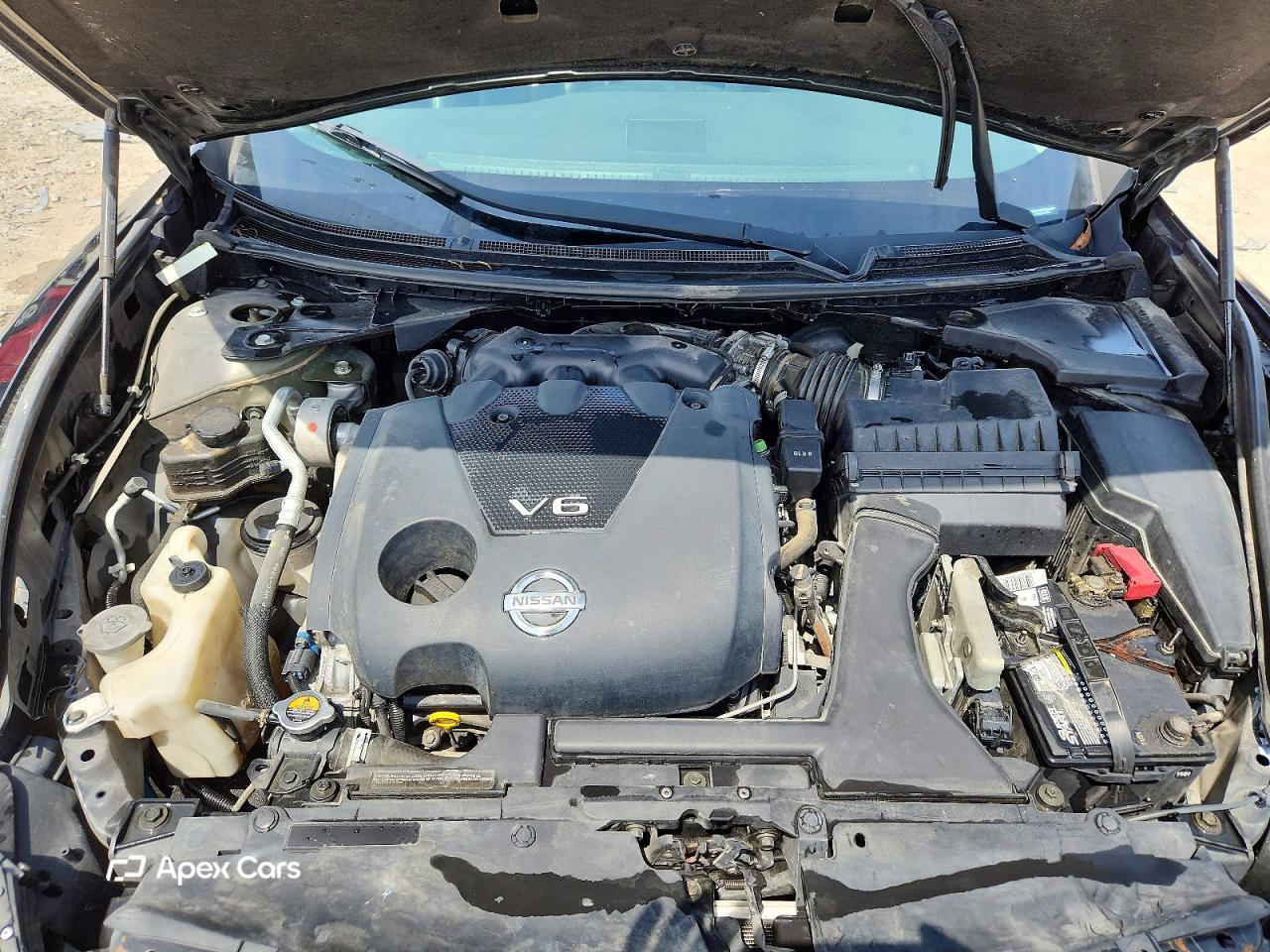 Nissan Maxima 2011