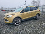 Ford Escape 2014