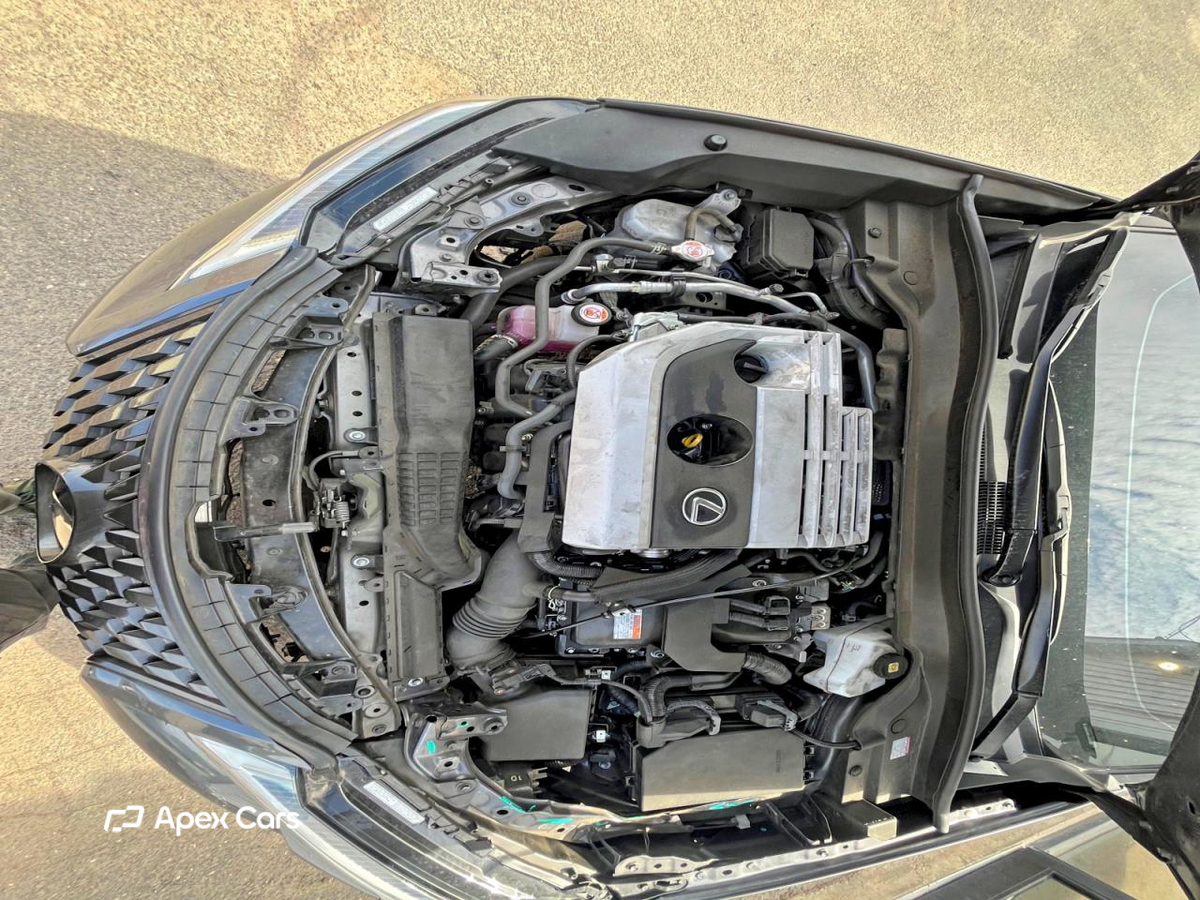 Lexus UX 2024