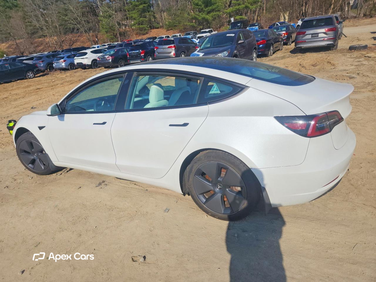 Tesla Model 3 2021