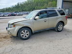 Ford Escape 2012