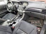 Honda Accord 2013