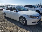 Honda Accord 2013