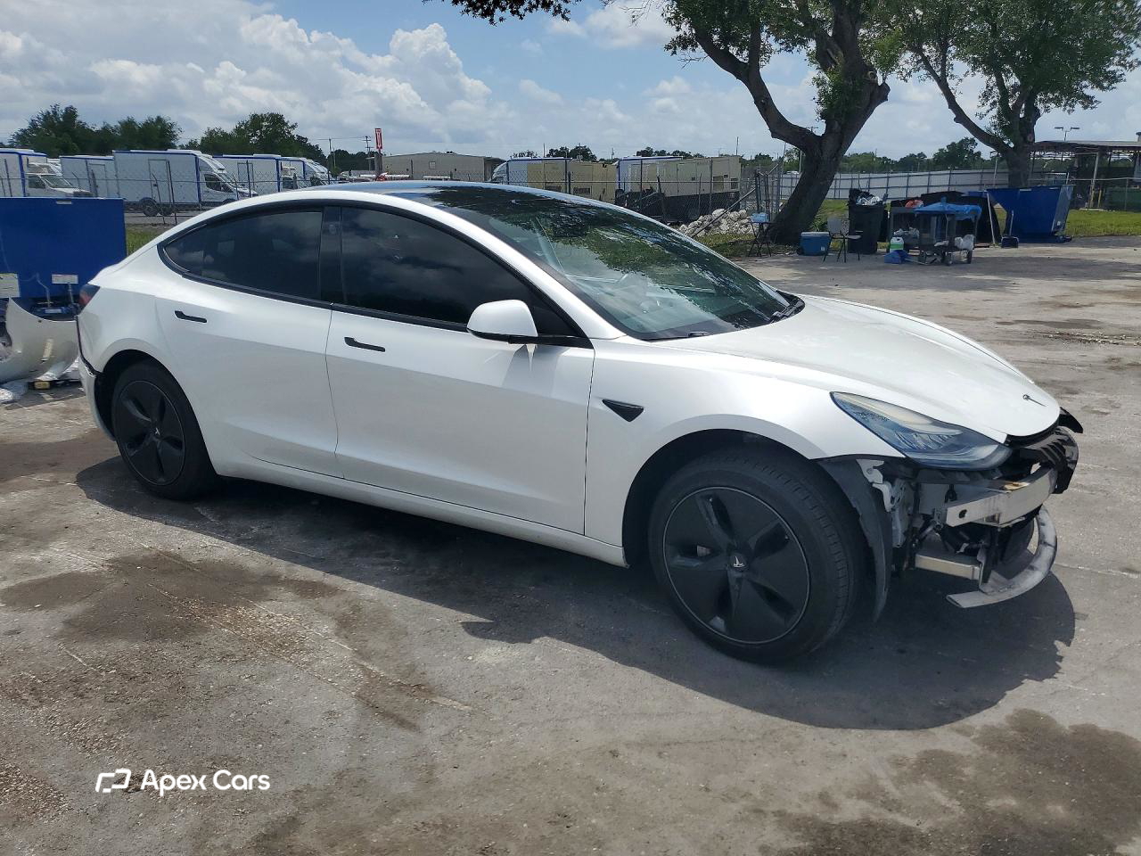 Tesla Model 3 2019