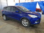 Ford Escape 2016