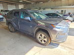 Toyota RAV 4 2024