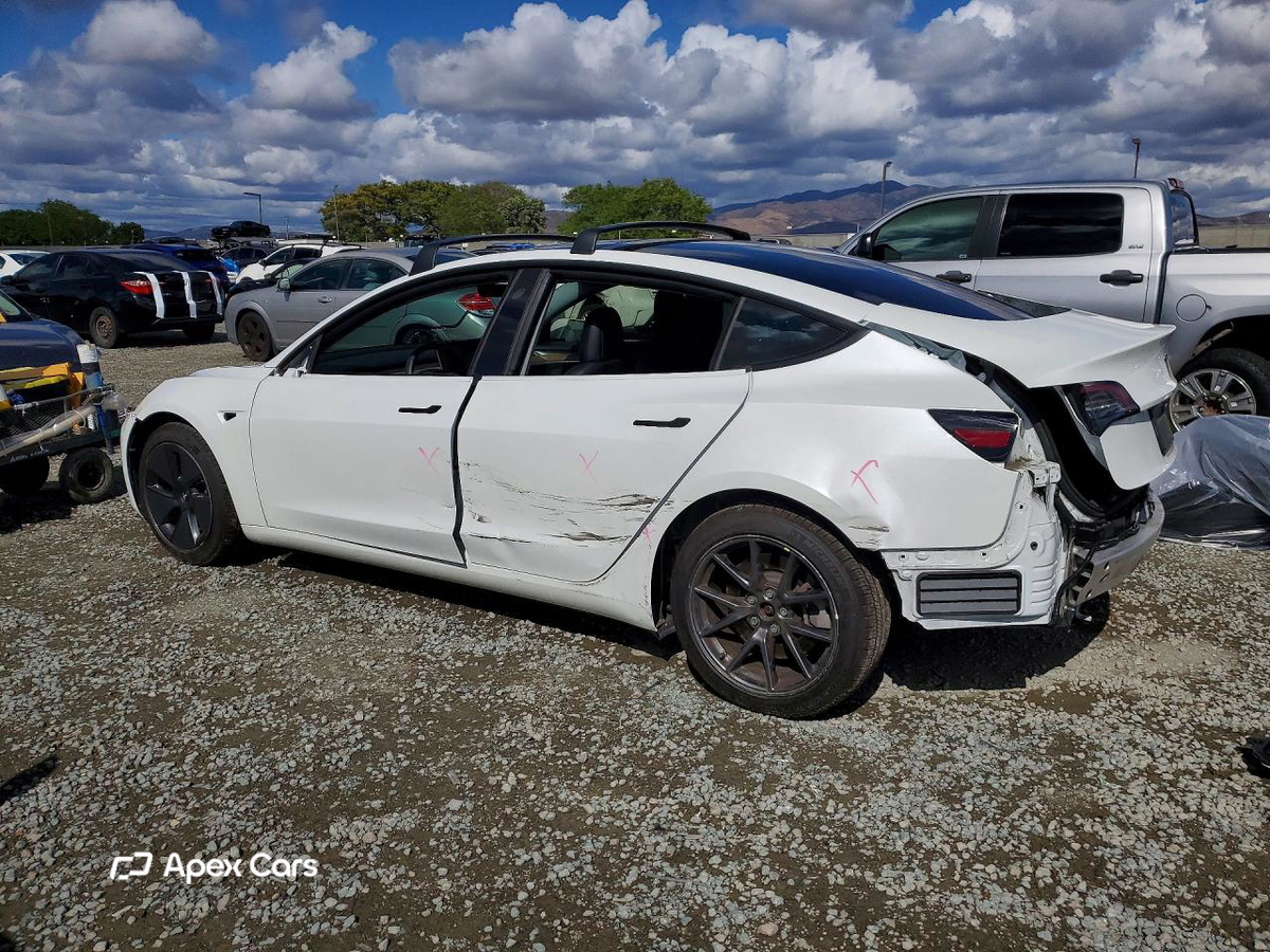 Tesla Model 3 2021