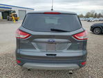 Ford Escape 2015