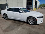Dodge Charger 2017