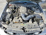 Ford Mustang 2009