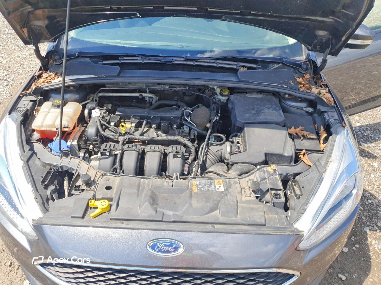 Ford Focus 2015