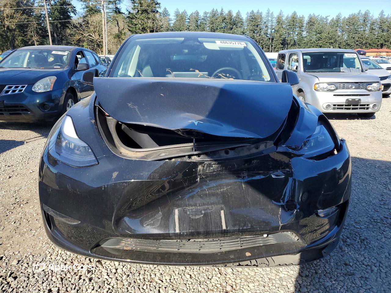 Tesla Model Y 2025