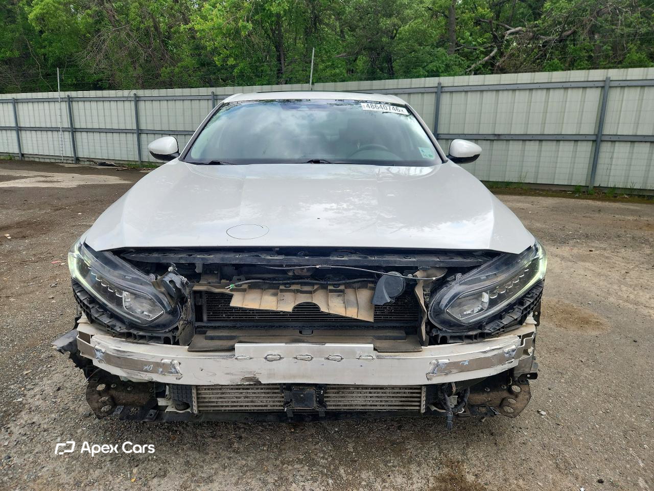 Honda Accord 2019
