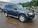 Ford Escape 2009