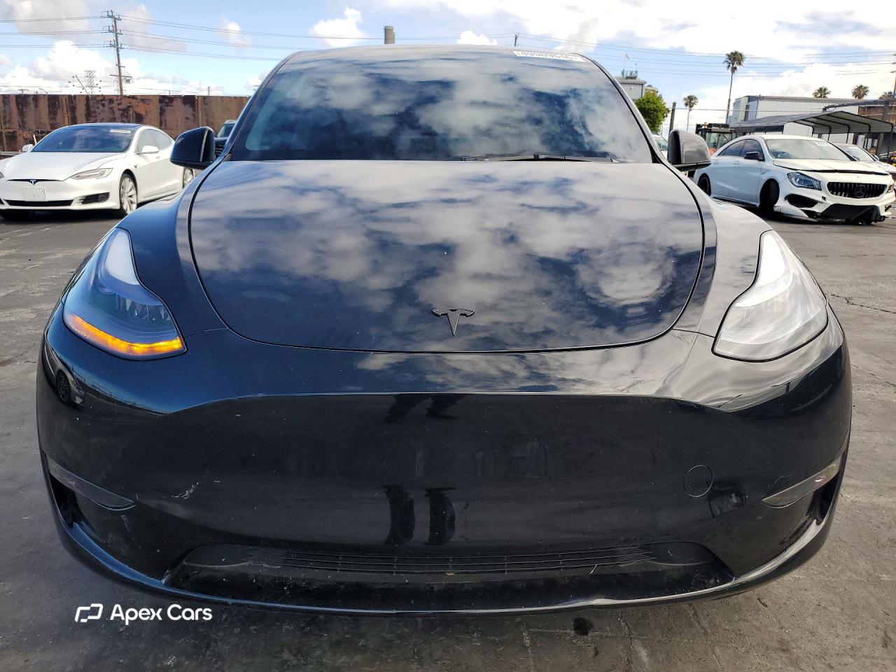 Tesla Model Y 2025