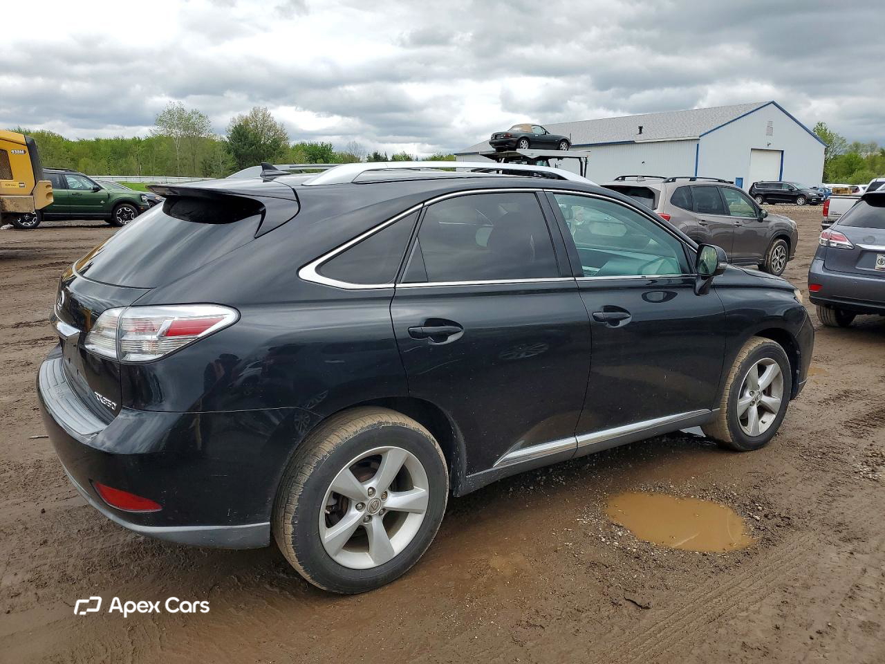 Lexus RX 2010