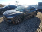 Ford Mustang 2023